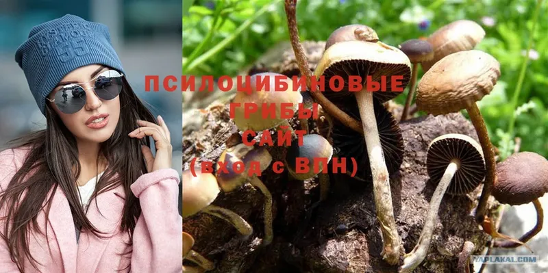 Галлюциногенные грибы MAGIC MUSHROOMS  Ейск 